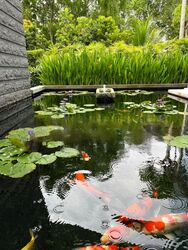 Victoria Park (D10), Detached #467184631